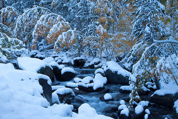 The Weight of Winter