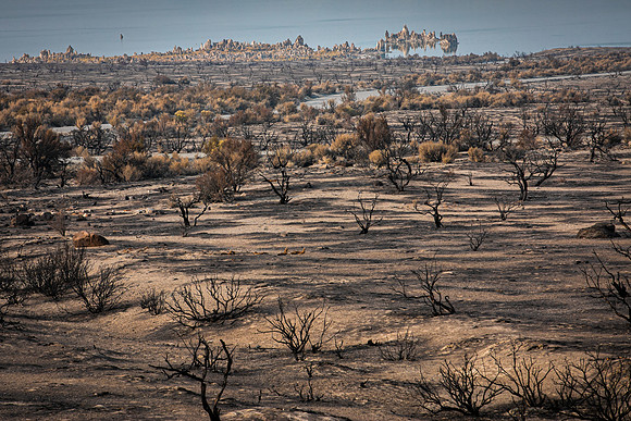 2021 September-wild fire damage, Mono Lake