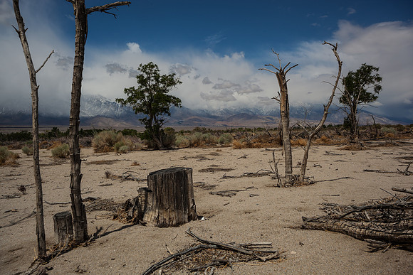 Manzanar today