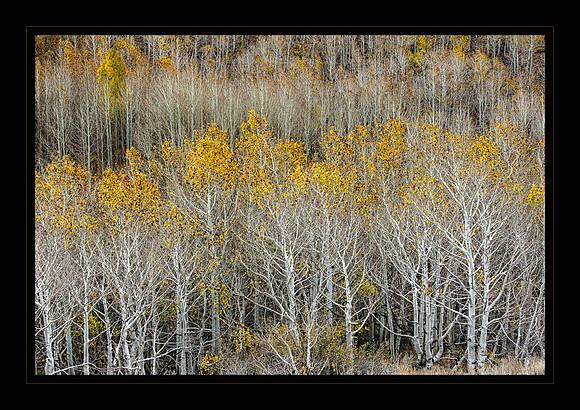 Season's End
