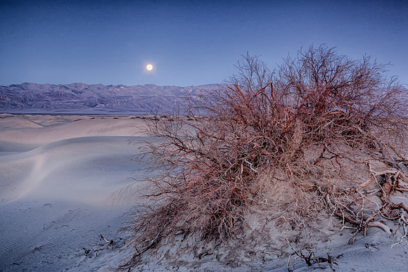 Moon set at sunrise, Death Valley