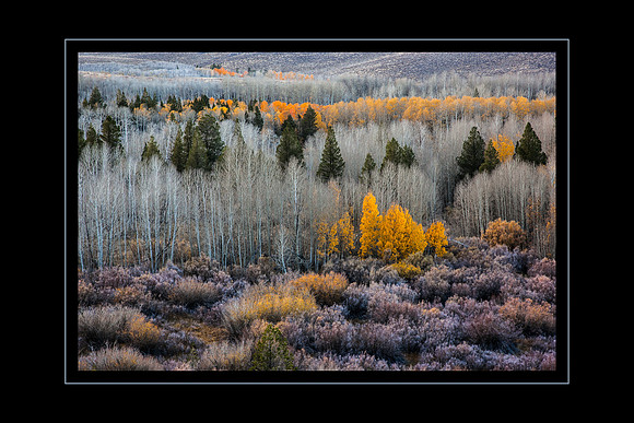 Conway Pass, Lee Vining, CA