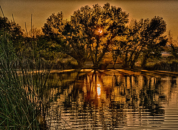 Sepulveda Wildlife Refuge, sunrise