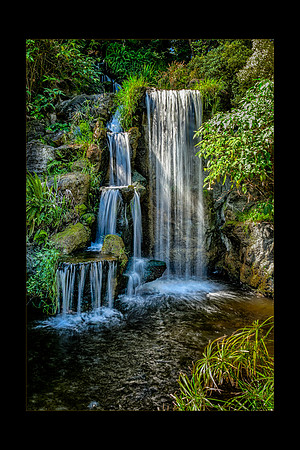 Los Angeles Arboretum