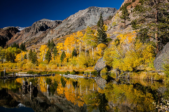 Lundy Canyon Beaver Pond