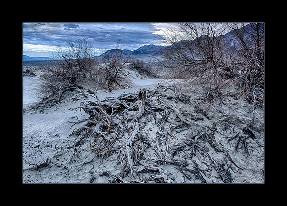 Desert Decay