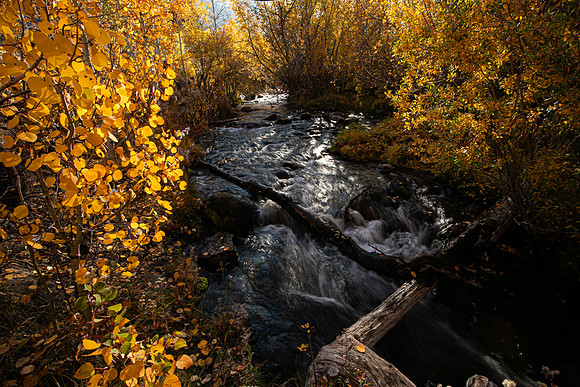 2021 November-Bishop Creek, Bishop, CA