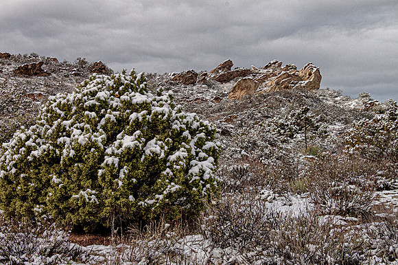2020 December-Vasquez Rocks