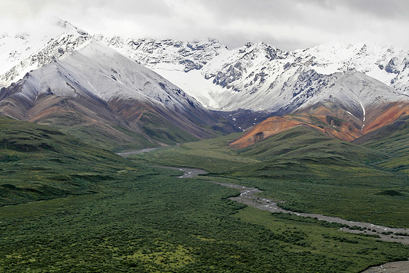 August in Denali