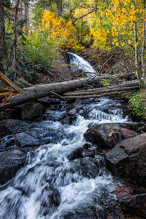 Mill Creek