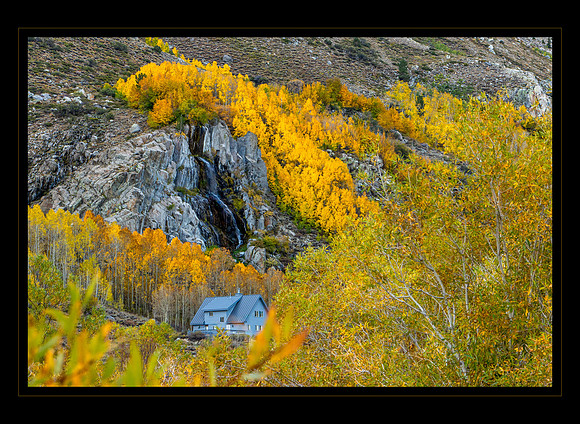 Surrounded by Aspen