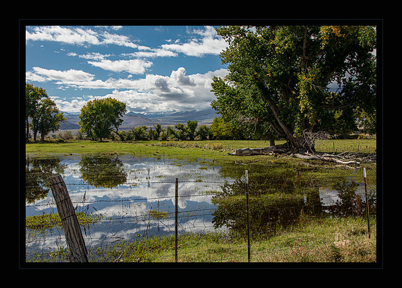 Round Valley Pasture