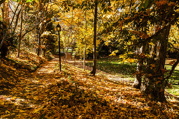2018 October-Lithia Park