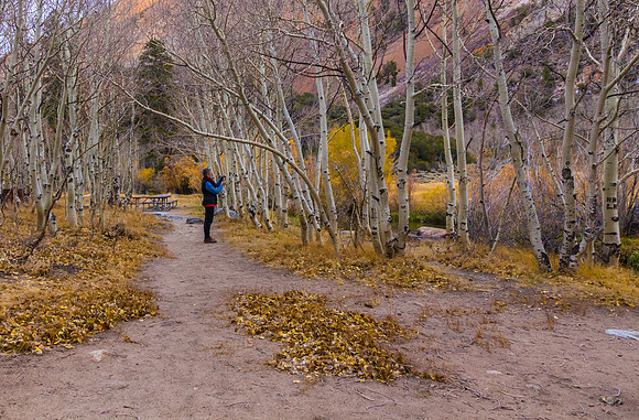 2018 November-Group Campground, Bishop