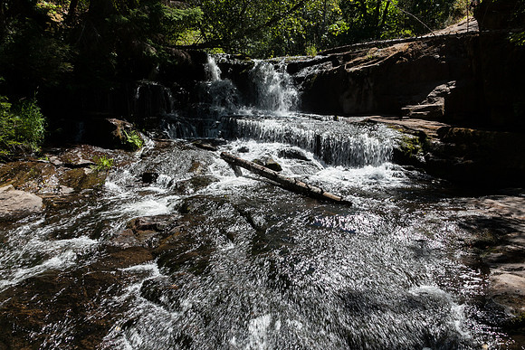 2019 July-Alsea Falls, OR