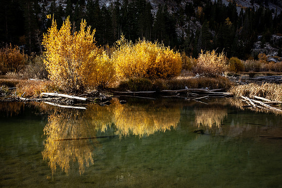 2019 October-Beaver Pond, Lundy Canyon