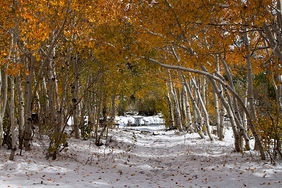 Season's End