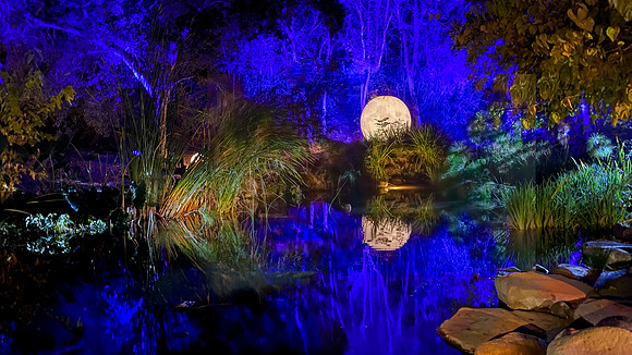 December - Descanso Gardens