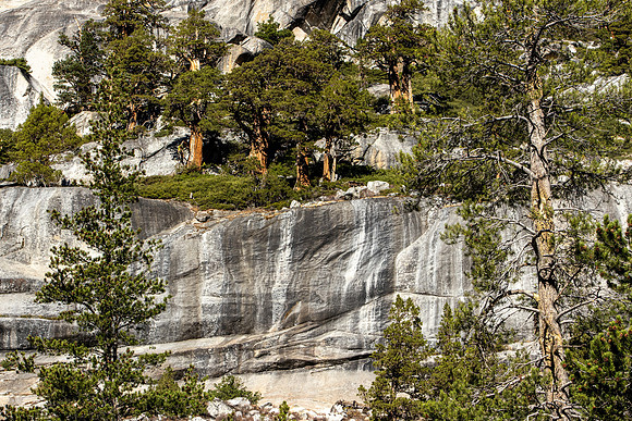 January - Yosemite